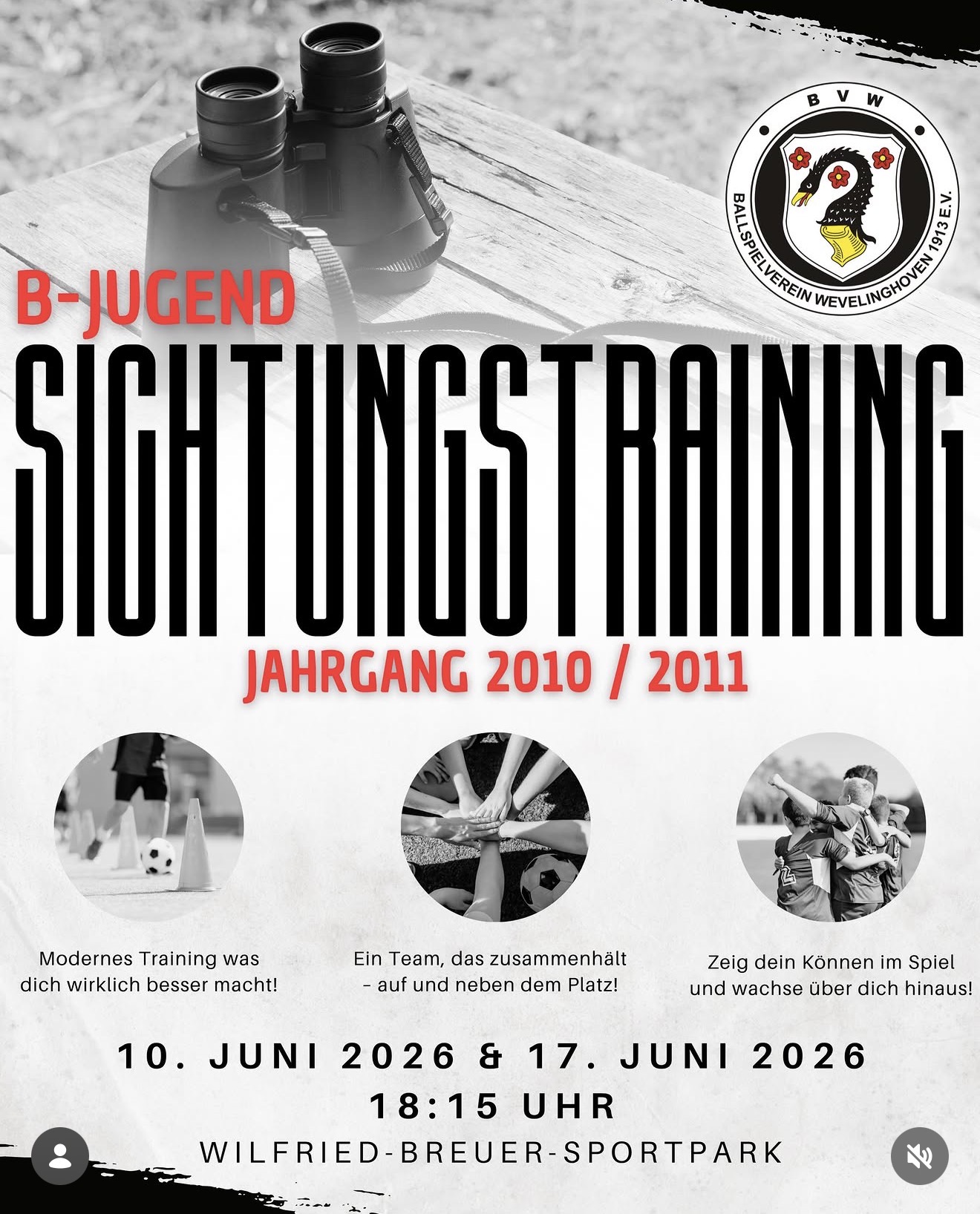 D Jugend sichtung